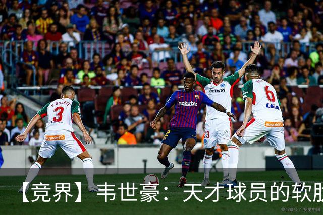 【竞界】韦世豪：天才球员的软肋 洪七公效应的外溢